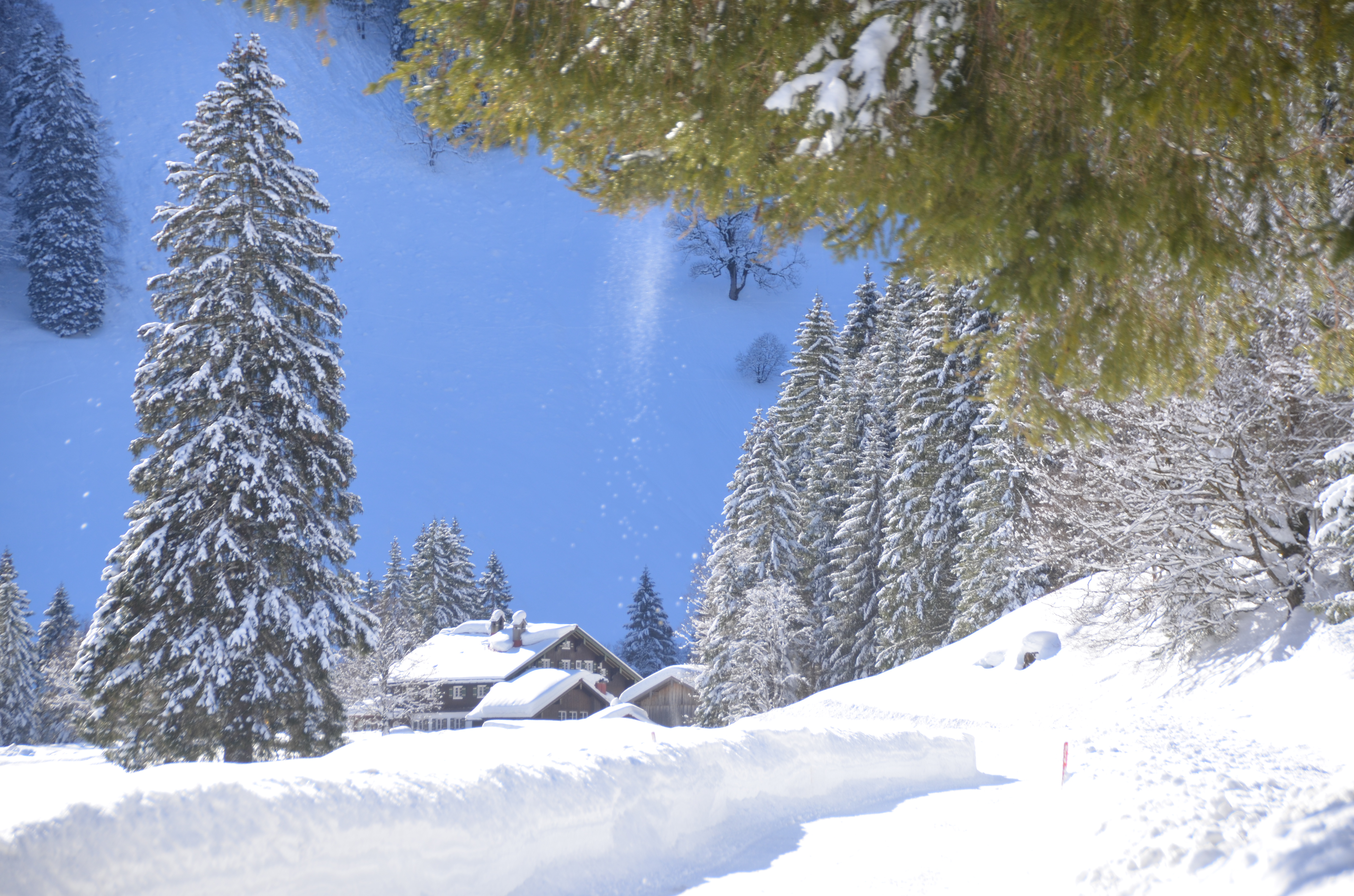 Pferdeschlitten- und Kutschfahrten