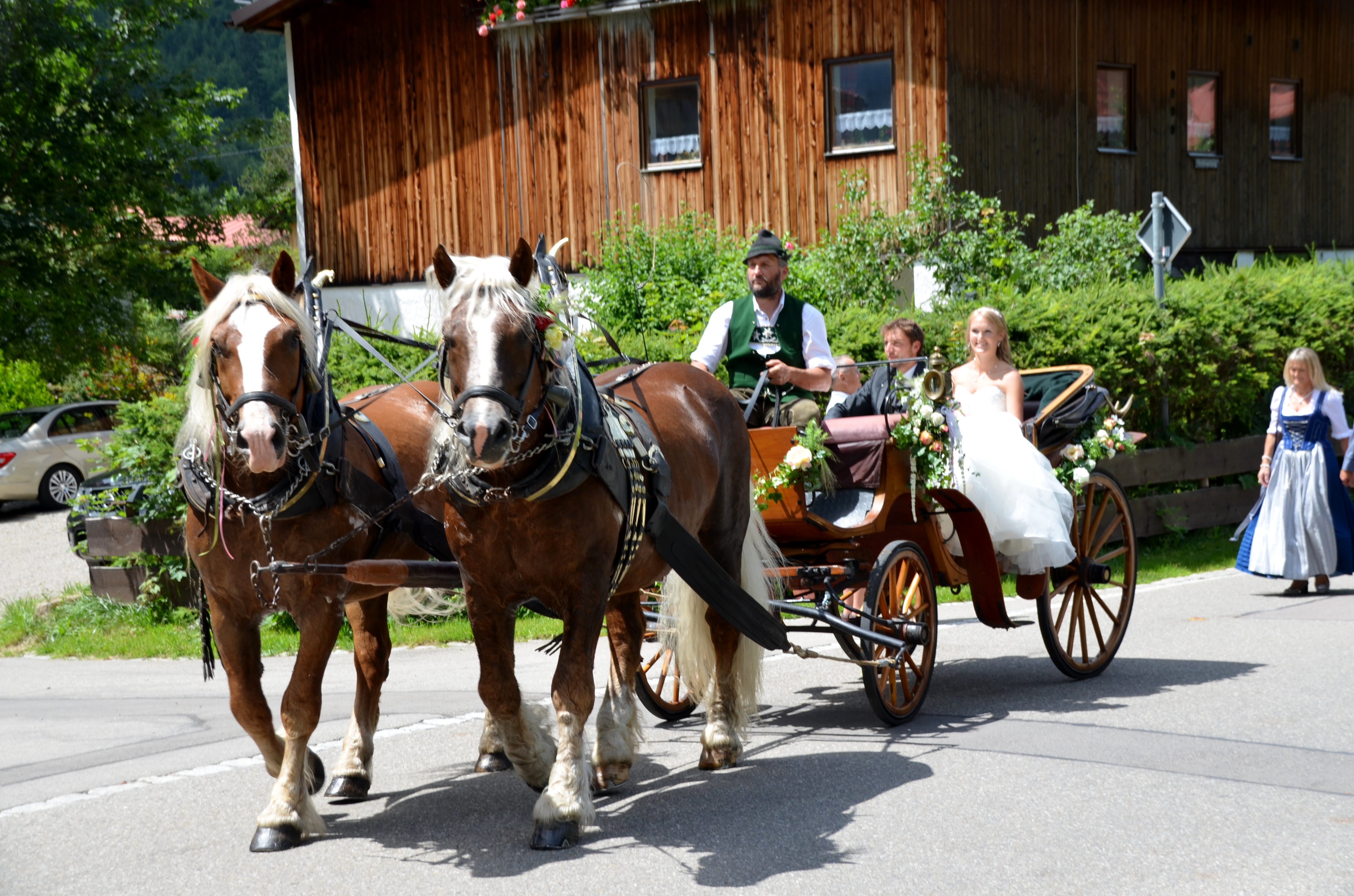 Pferdeschlitten- und Kutschfahrten
