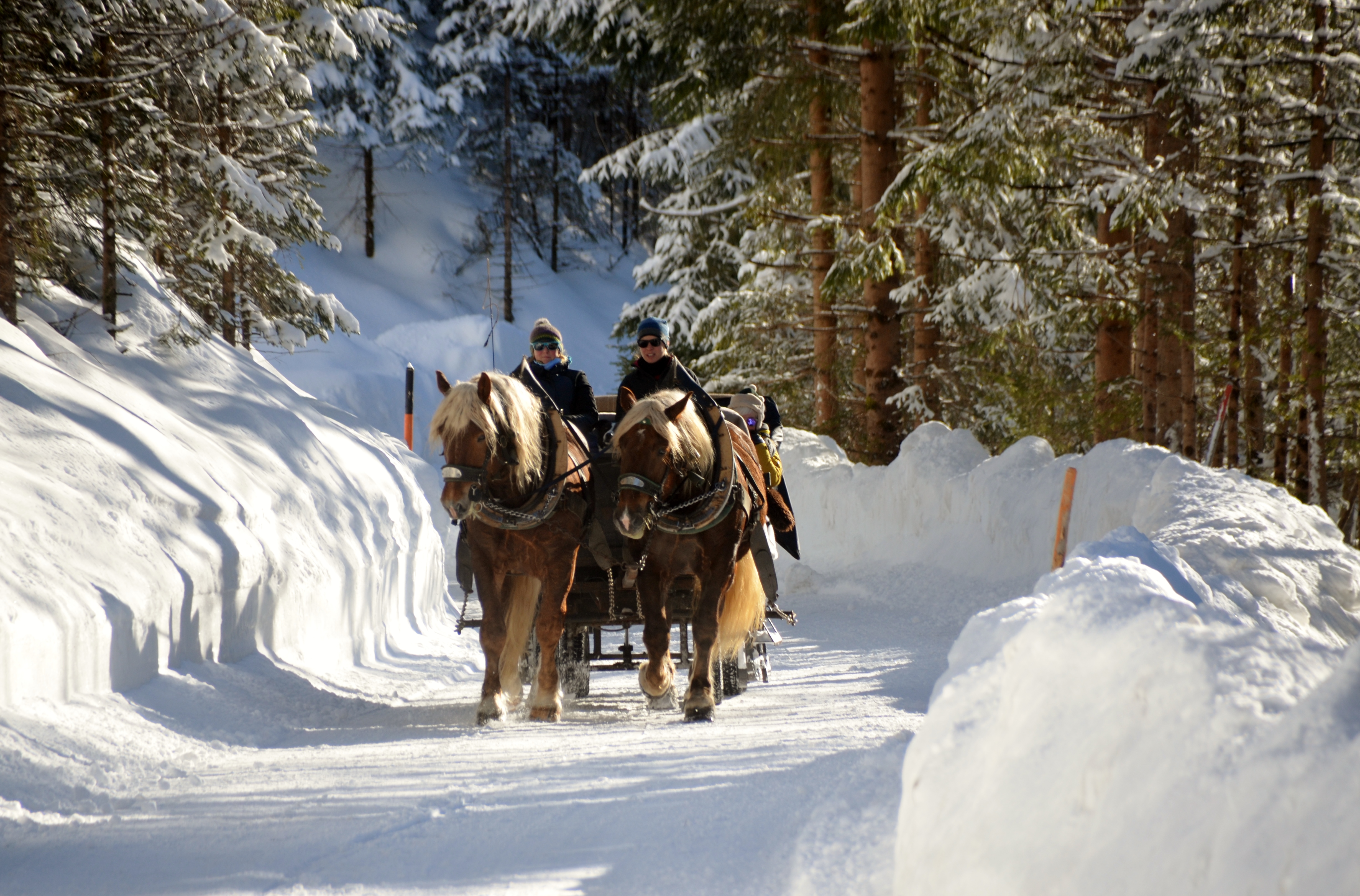 Pferdeschlitten- und Kutschfahrten
