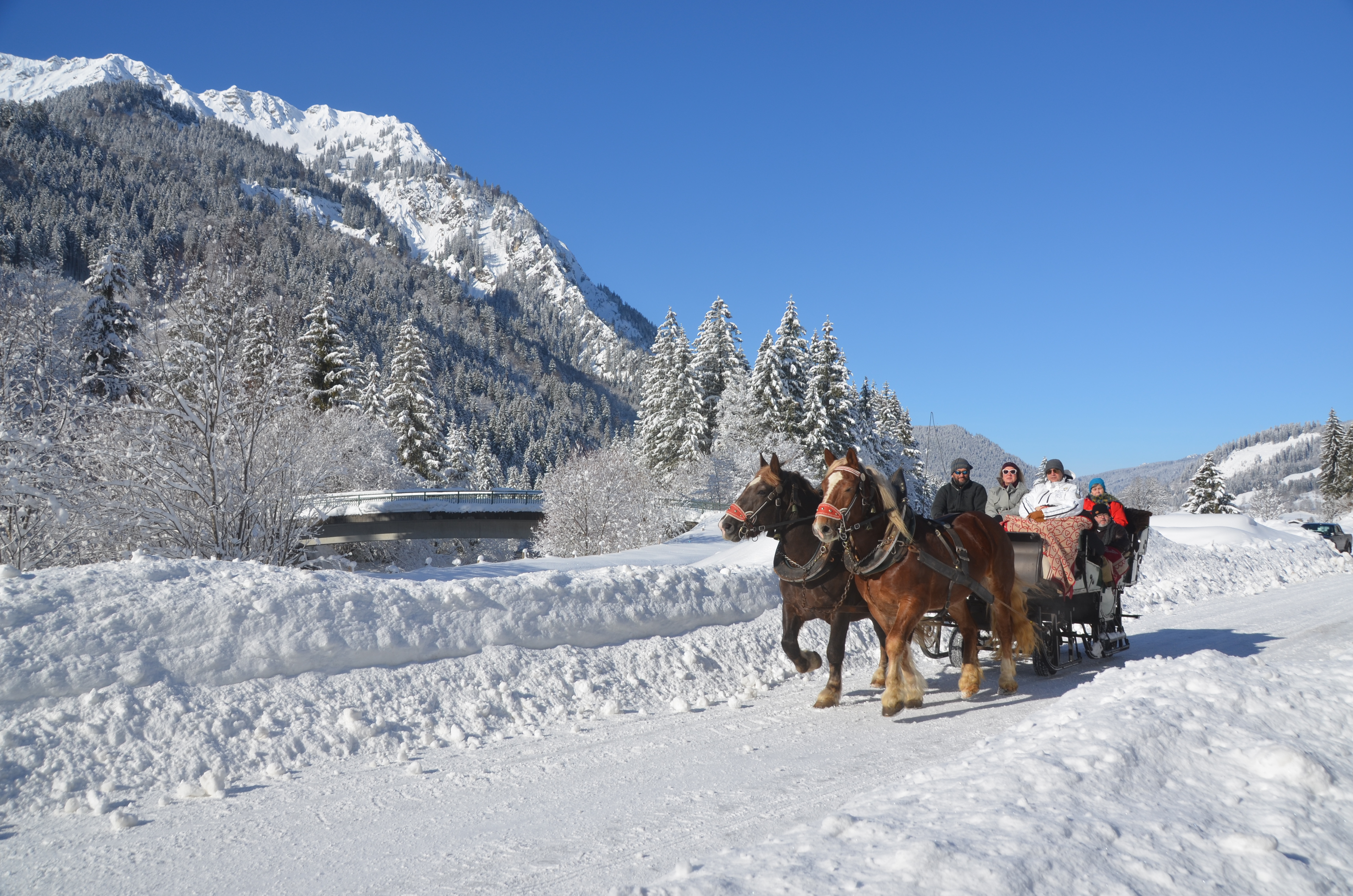 Pferdekutschenfahrt von Hinterstein zum Giebelhaus