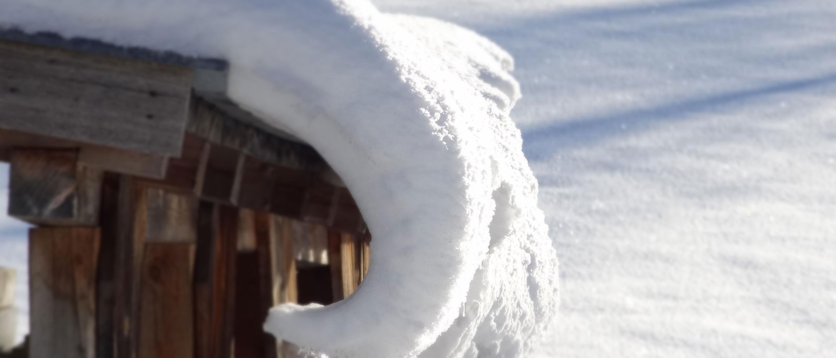 Header-Winter-02.jpg