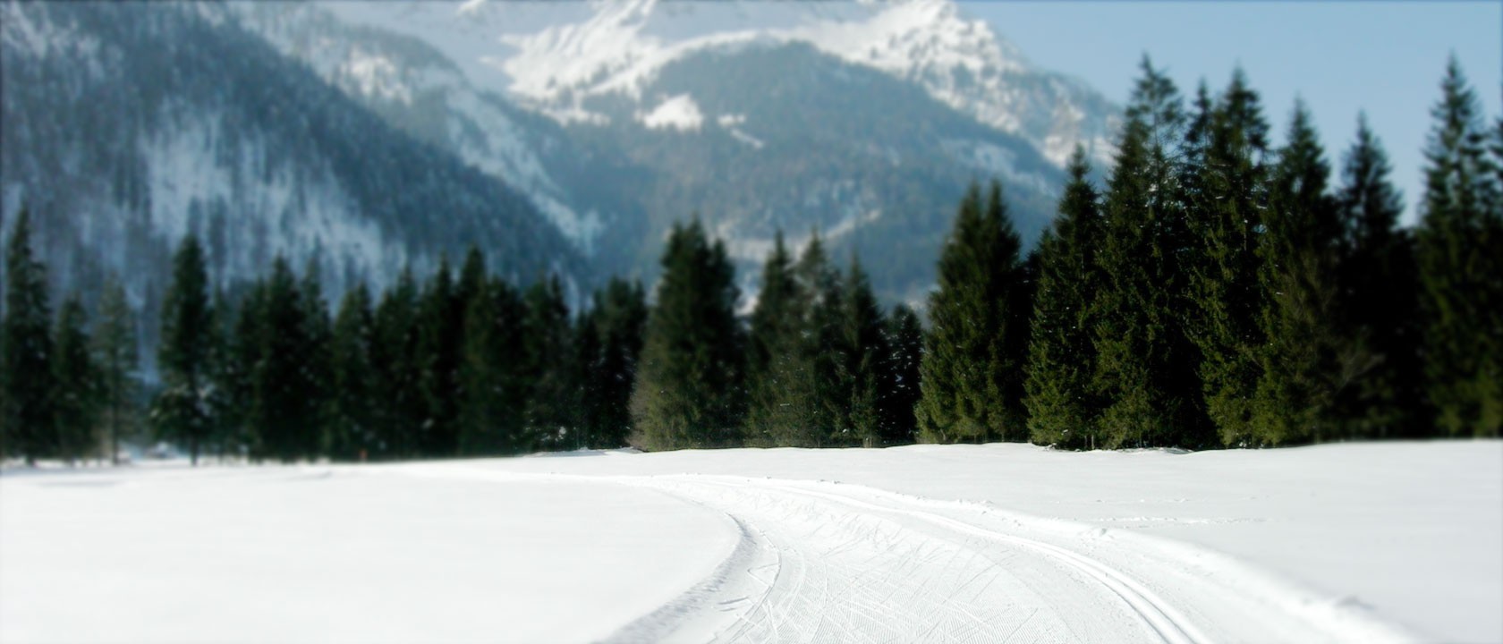 Header-Winter-Loipe.jpg