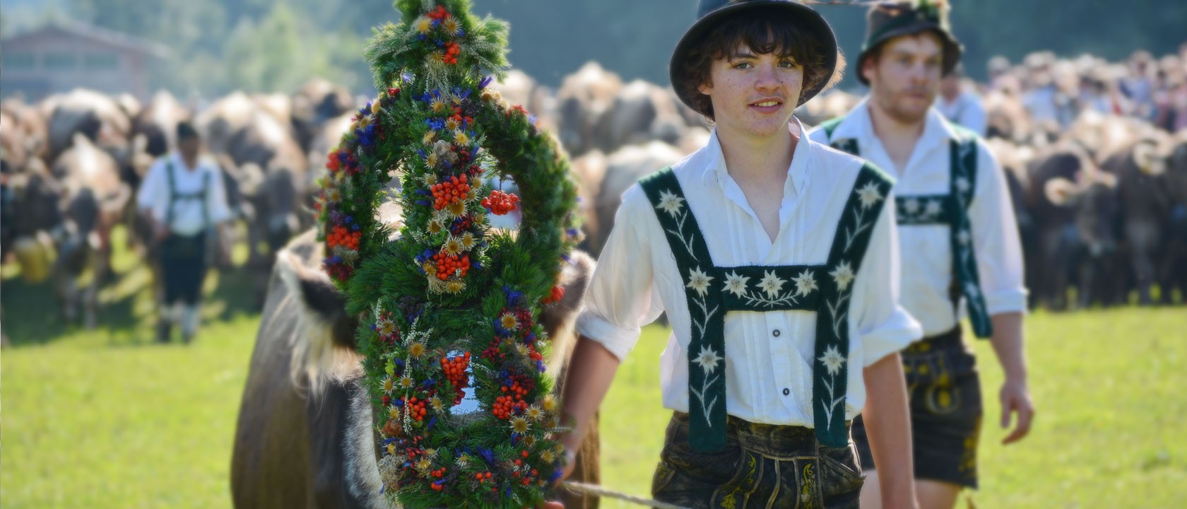 Viehscheid Bad Hindelang