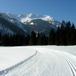 Winter-Loipe-01.JPG