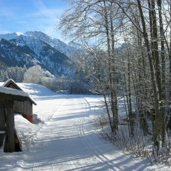 Winter-Loipe.JPG