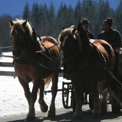 Bad HIndelang Tourismus_Wolfang B. Kleiner_Kutsche.JPG